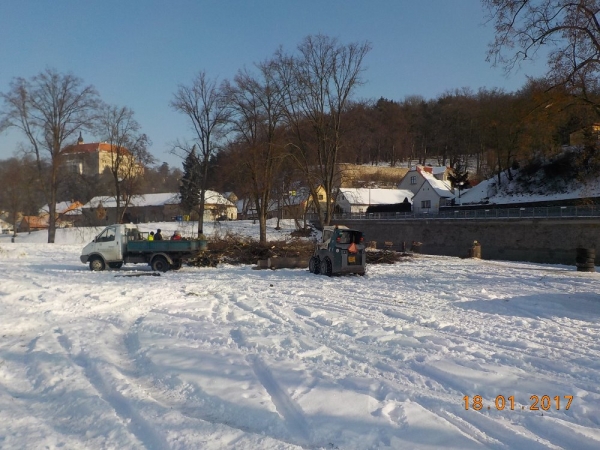 Kácení stromů u řeky Oslavy 18.1.2017